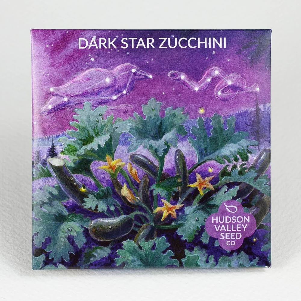 HV Dark Star Zucchini